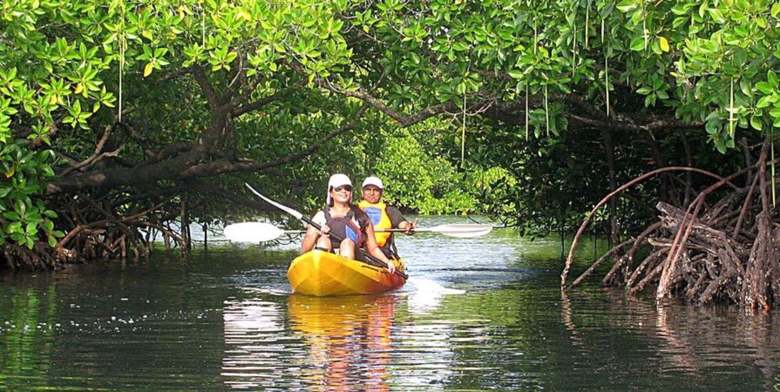 Kayaking in Havelock Island